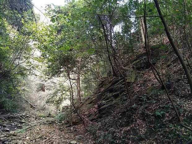 小猫钓鱼游戏龙王版有船