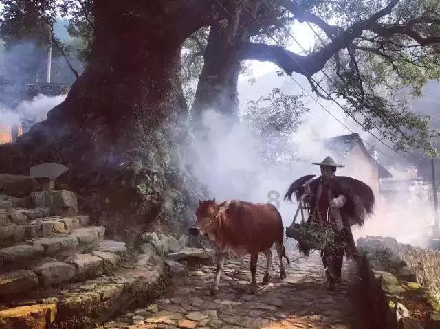 罗马诺:格拉纳达要求拜仁正式报价萨拉戈萨,以让球员冬窗加盟