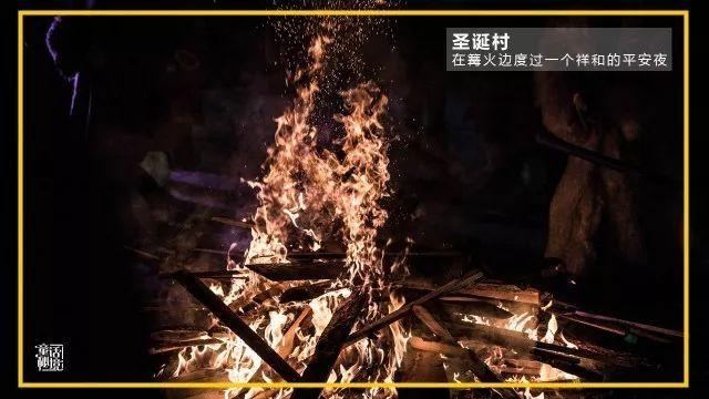 最补肾的一种豆子，对眼睛特别好，对头发也特别好，冬天要吃起来