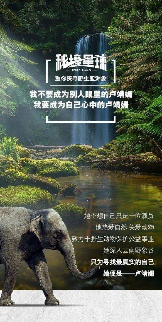 龙港市有哪些正规补课学校游戏画面