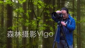 逃离壳牌岛