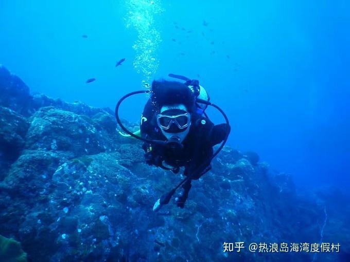 郭富城、舒淇等明星主演的电影,联合出品方之一涉这起投资诈骗案!兰州警方征集线索