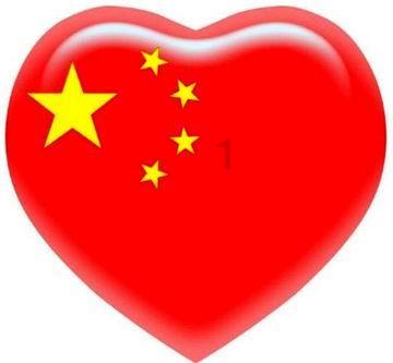 你的“毛孩子”安顿好了吗