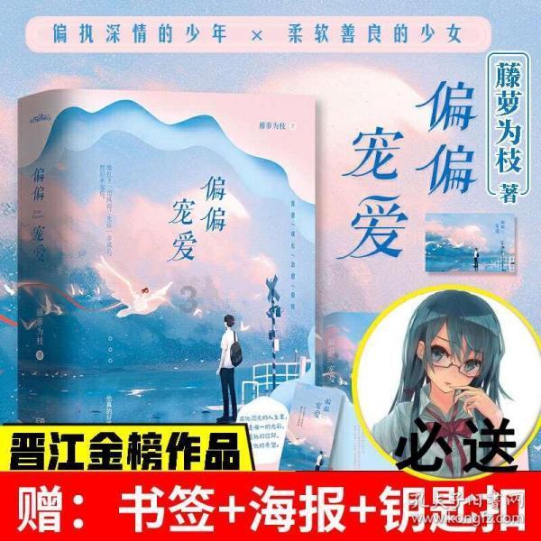 赏金猎人团