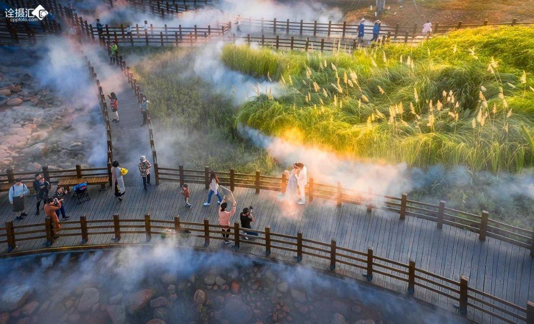 县域共青团基层组织改革丨青山区:团组织赋能,让青年当主角