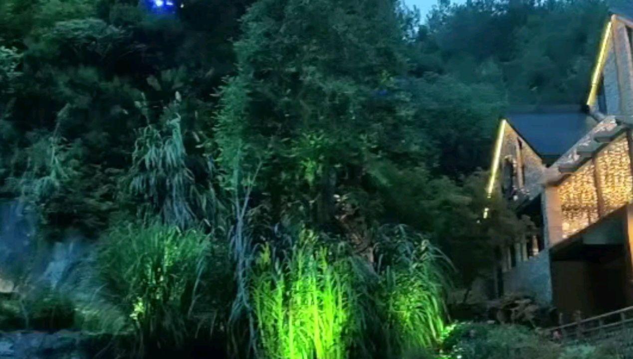 次元喵